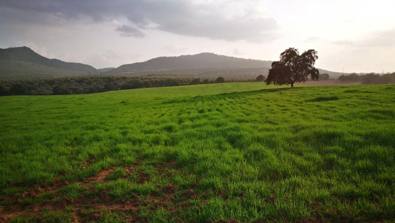 Finca El Vizconde Naturaleza Con Tus Hijos Arquillos Exteriér fotografie