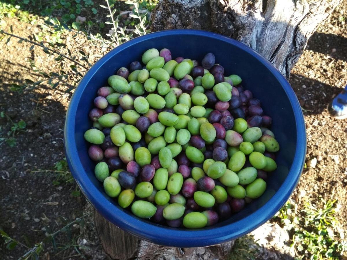 Finca El Vizconde Naturaleza Con Tus Hijos Arquillos Exteriér fotografie