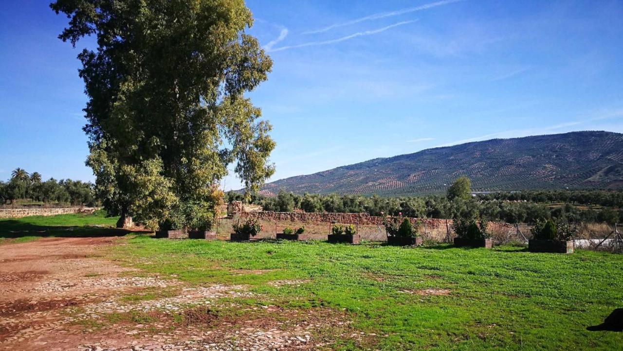 Finca El Vizconde Naturaleza Con Tus Hijos Arquillos Exteriér fotografie