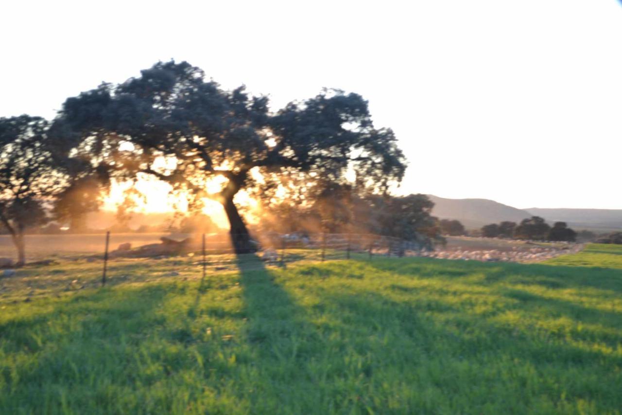 Finca El Vizconde Naturaleza Con Tus Hijos Arquillos Exteriér fotografie