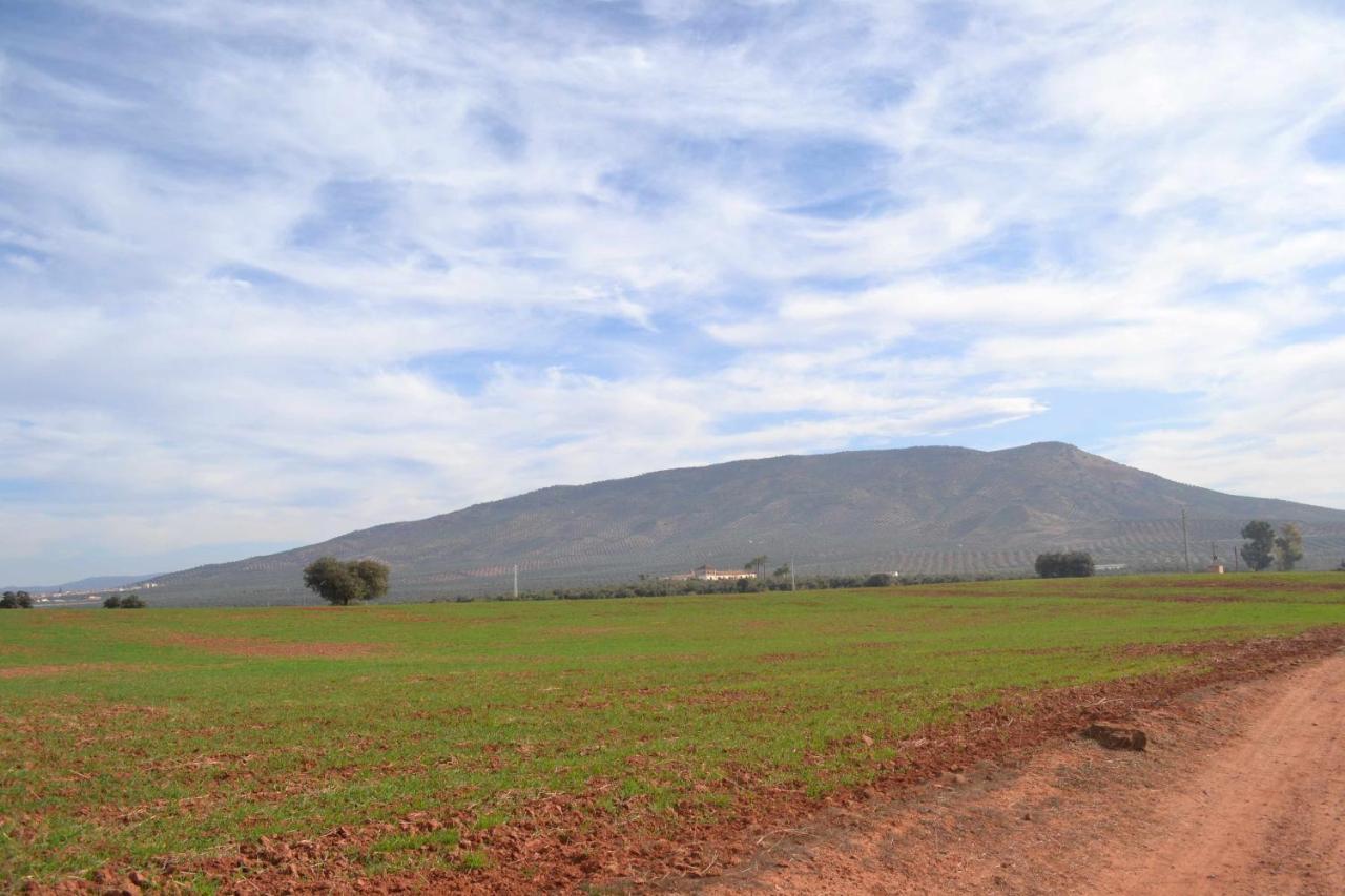 Finca El Vizconde Naturaleza Con Tus Hijos Arquillos Exteriér fotografie