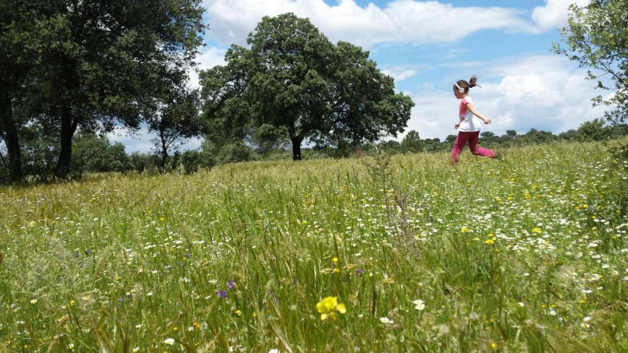 Finca El Vizconde Naturaleza Con Tus Hijos Arquillos Exteriér fotografie