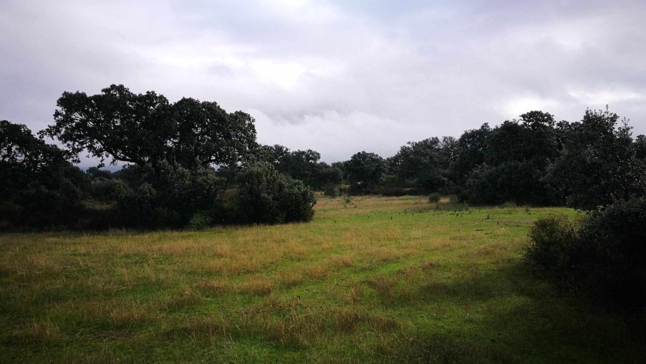 Finca El Vizconde Naturaleza Con Tus Hijos Arquillos Exteriér fotografie