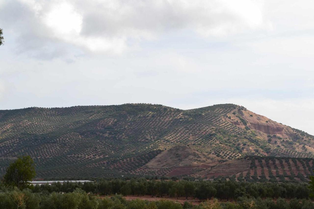 Finca El Vizconde Naturaleza Con Tus Hijos Arquillos Exteriér fotografie