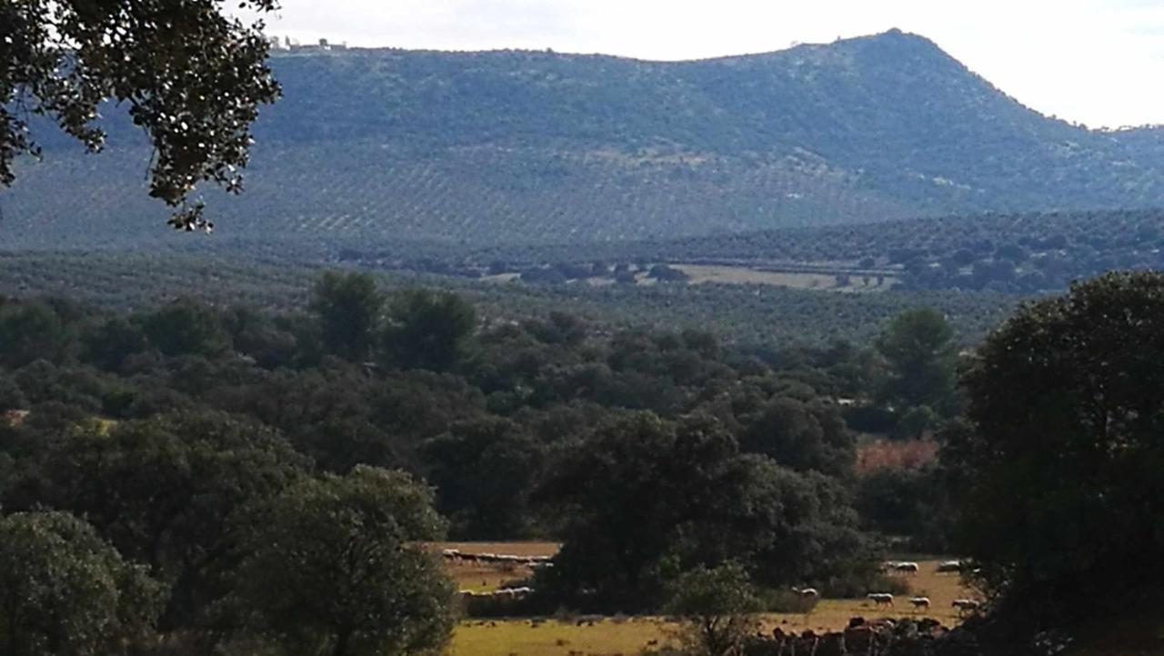 Finca El Vizconde Naturaleza Con Tus Hijos Arquillos Exteriér fotografie