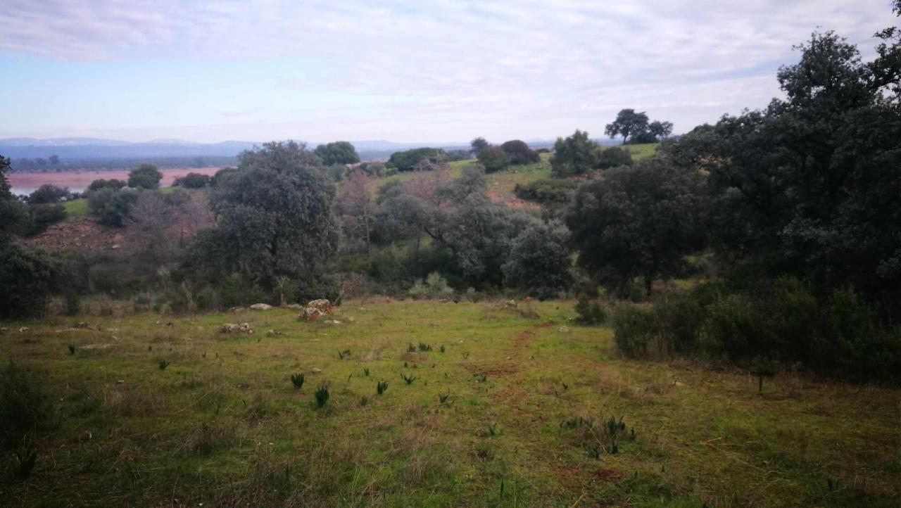 Finca El Vizconde Naturaleza Con Tus Hijos Arquillos Exteriér fotografie