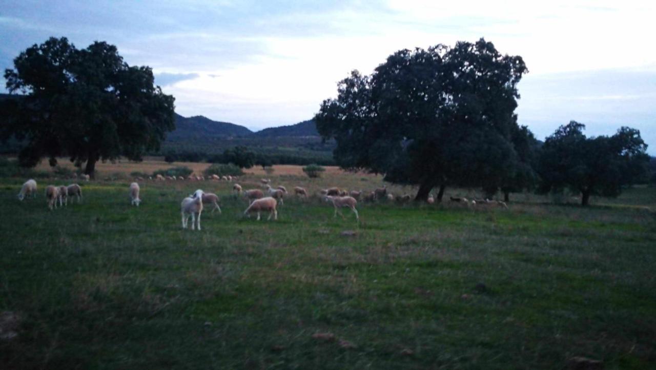 Finca El Vizconde Naturaleza Con Tus Hijos Arquillos Exteriér fotografie