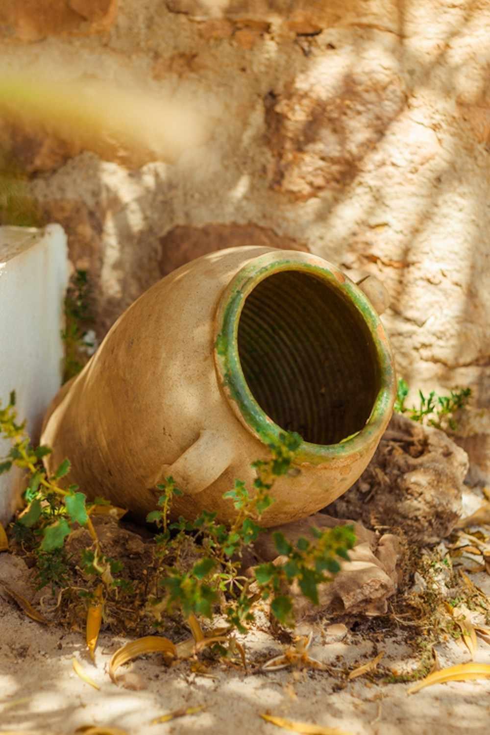 Finca El Vizconde Naturaleza Con Tus Hijos Arquillos Exteriér fotografie